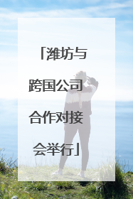 潍坊与跨国公司合作对接会举行